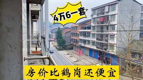 四川小城驚現4.6萬三室一廳，房價竟比鶴崗還低