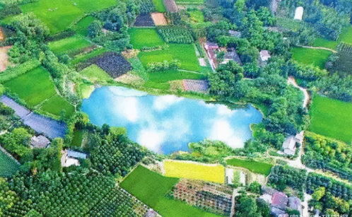 23億負(fù)債壓頂，22年老牌房企申請(qǐng)破產(chǎn)！阜陽(yáng)房企承壓，四川地產(chǎn)亦現(xiàn)隱憂(yōu)