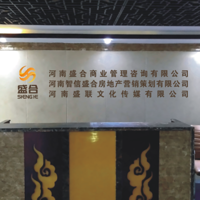 河南盛合商業(yè)管理咨詢(xún) 企業(yè)智囊，賦能商業(yè)新未來(lái)